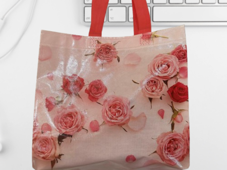 MULTI-PURPOSE SHOPPING BAGS | CARRY BAGS