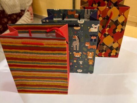 Multicolor Floral - Striped Print Gifting Paper Bags for All Occasions