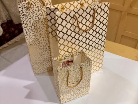Stylish Paper Bag Combo – Set of 3 in 1 pack perfect  for Presents & Special Celebrations