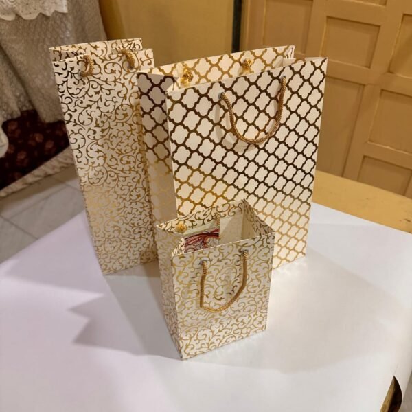 Stylish Paper Bag Combo – Set of 3 in 1 pack perfect  for Presents & Special Celebrations