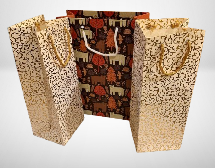 Celebrate in Style Paper Bag Set 3