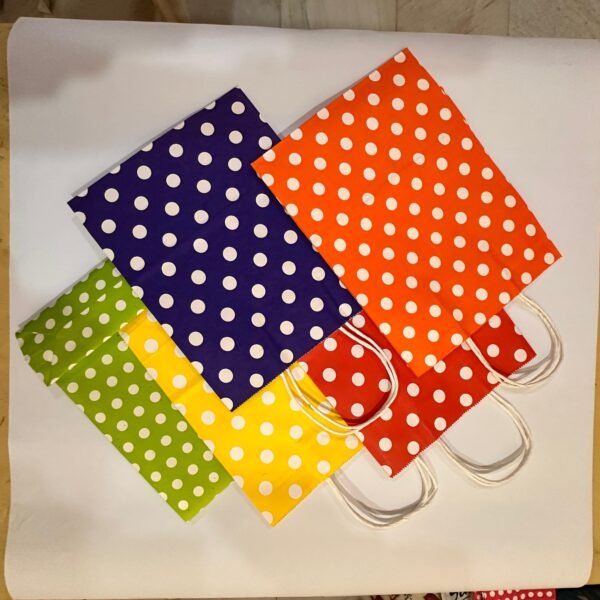 Polka Dot Paper Bag Combo-5 in 1-Pack for Return Gifts, Weddings, Birthdays & Celebrations
