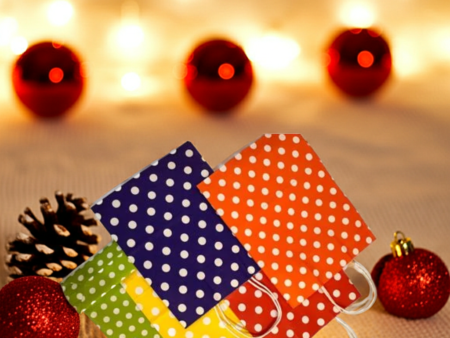 Polka Dot Paper Bag Combo-5 in 1-Pack for Return Gifts, Weddings, Birthdays & Celebrations