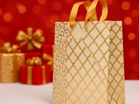 Stylish Paper Bag Combo – Set of 3 in 1 pack perfect for Presents & Special Celebrations